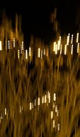 lumières 1